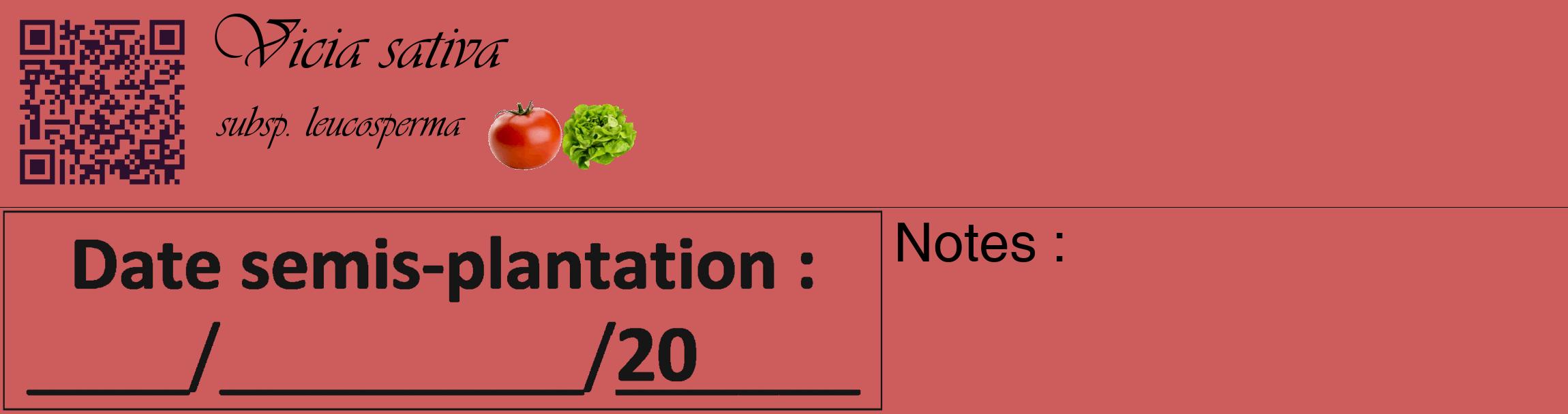 Étiquette de : Vicia sativa subsp. leucosperma - format c - style noire35_basique_basiqueviv avec qrcode et comestibilité simplifiée