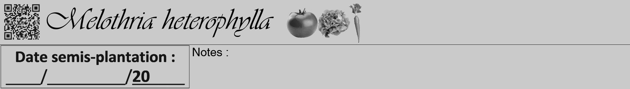 Étiquette de : Melothria heterophylla - format a - style noire21viv avec qrcode et comestibilité simplifiée