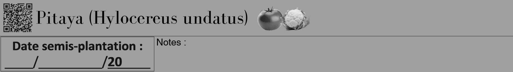 Étiquette de : Hylocereus undatus - format a - style noire24bod avec qrcode et comestibilité simplifiée