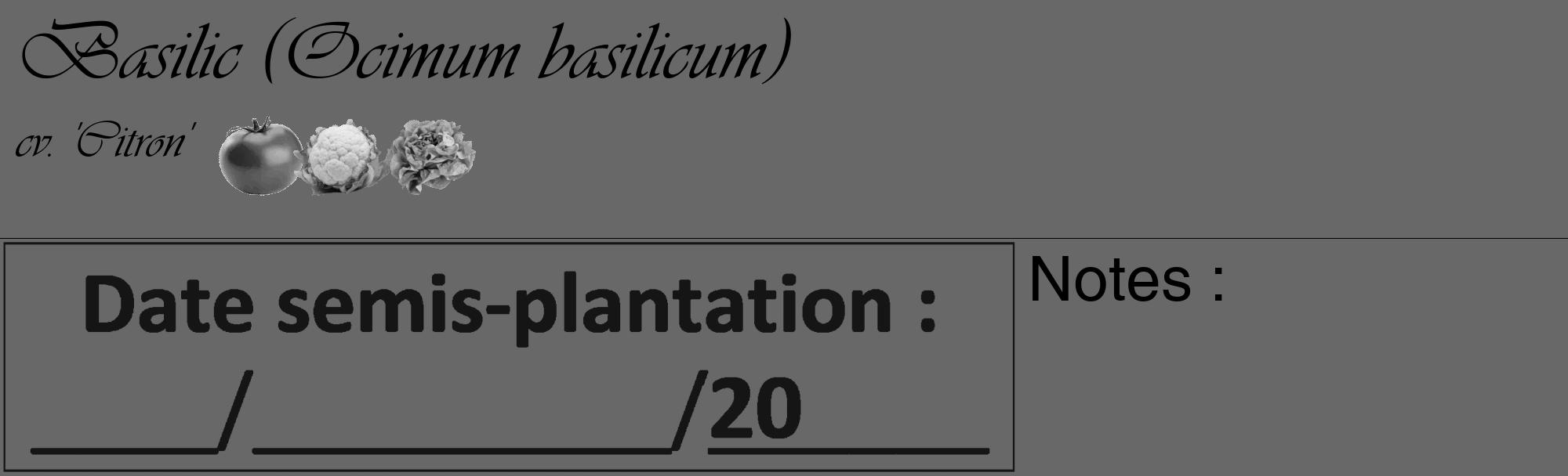 Étiquette de : Ocimum basilicum cv. 'Citron' - format c - style noire43_basique_basiqueviv avec comestibilité simplifiée