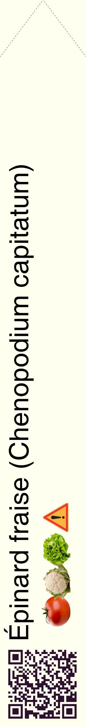 Étiquette de : Chenopodium capitatum - format c - style noire19_simplehel avec qrcode et comestibilité simplifiée