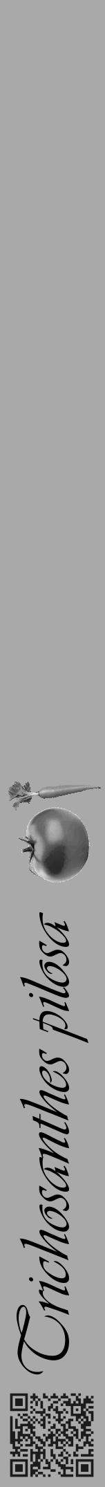 Étiquette de : Trichosanthes pilosa - format a - style noire13viv avec qrcode et comestibilité simplifiée - position verticale