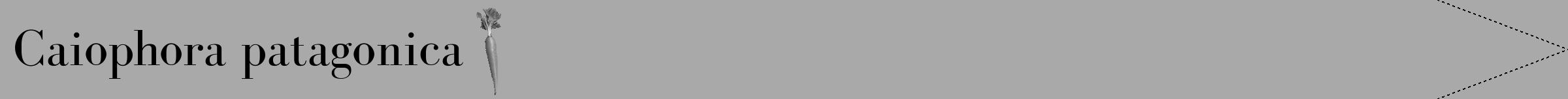Étiquette de : Caiophora patagonica - format b - style noire13bod avec comestibilité simplifiée