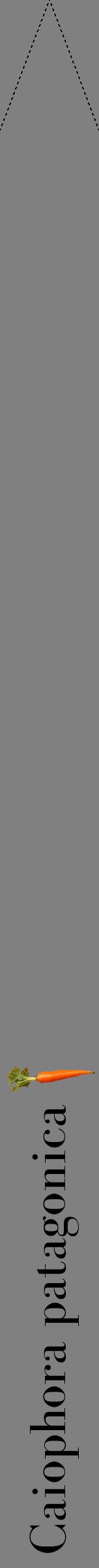 Étiquette de : Caiophora patagonica - format b - style noire57bod avec comestibilité simplifiée - position verticale
