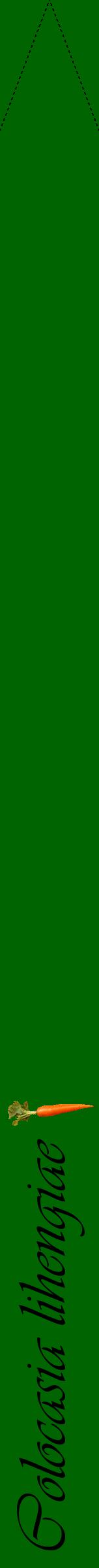 Étiquette de : Colocasia lihengiae - format b - style noire8viv avec comestibilité simplifiée