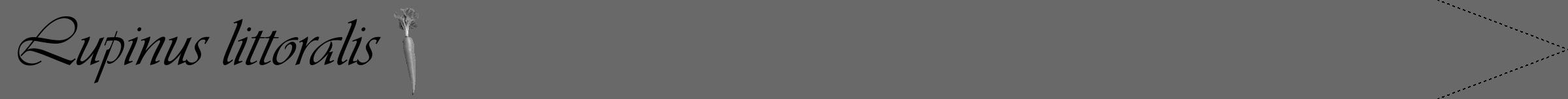 Étiquette de : Lupinus littoralis - format b - style noire51simpleviv avec comestibilité simplifiée