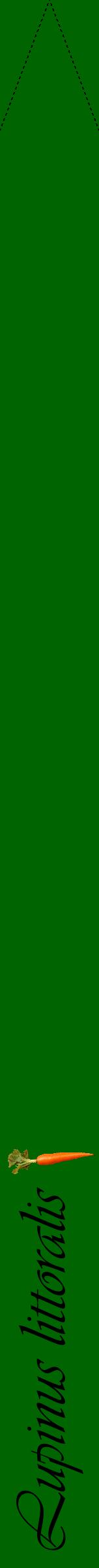 Étiquette de : Lupinus littoralis - format b - style noire8viv avec comestibilité simplifiée