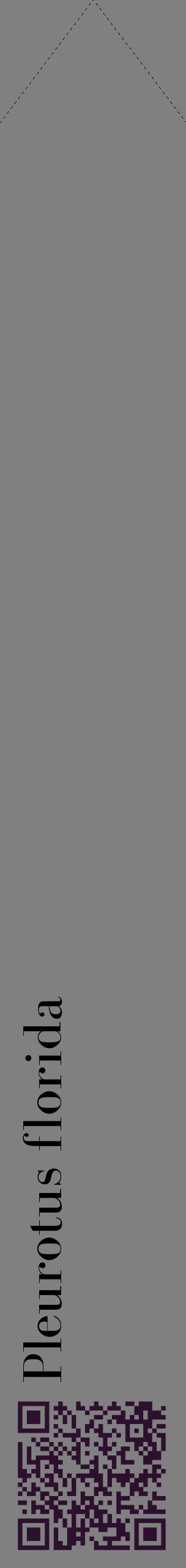 Étiquette de : Pleurotus florida - format c - style noire57_simplebod avec qrcode et comestibilité