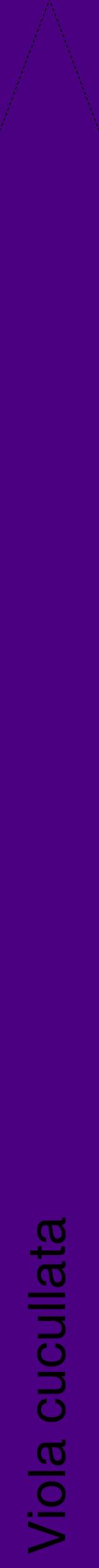 Étiquette de : Viola cucullata - format b - style noire47hel avec comestibilité