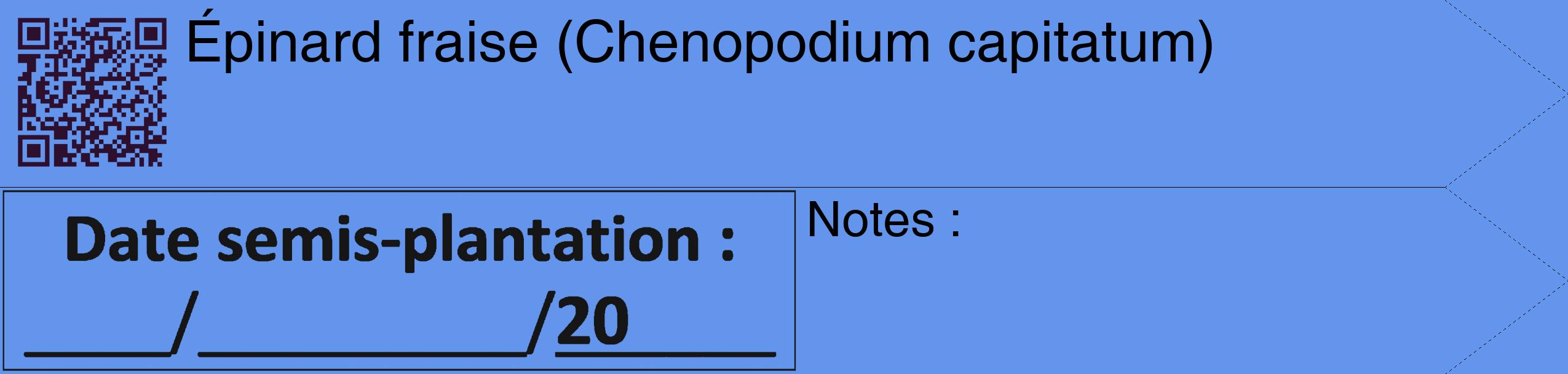 Étiquette de : Chenopodium capitatum - format c - style noire4_simple_simplehel avec qrcode et comestibilité
