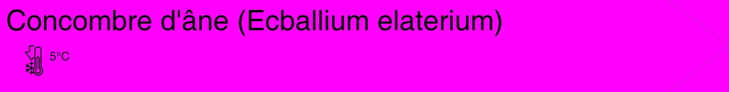 Étiquette de : Ecballium elaterium - format c - style noire51_simple_simplehel avec comestibilité