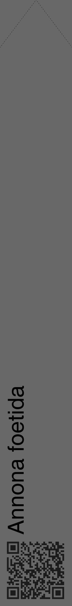 Étiquette de : Annona foetida - format c - style noire6_simple_simplehel avec qrcode et comestibilité - position verticale