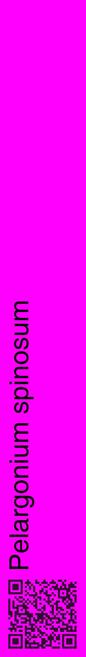 Étiquette de : Pelargonium spinosum - format c - style noire51_basiquehel avec qrcode et comestibilité