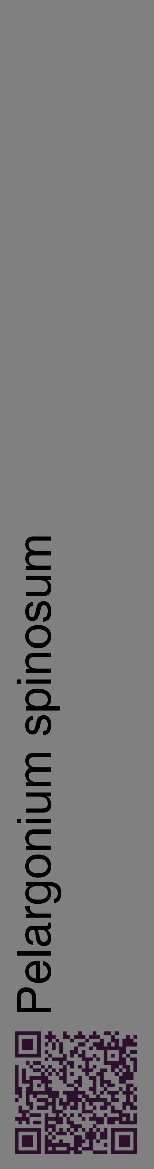 Étiquette de : Pelargonium spinosum - format c - style noire57_basiquehel avec qrcode et comestibilité