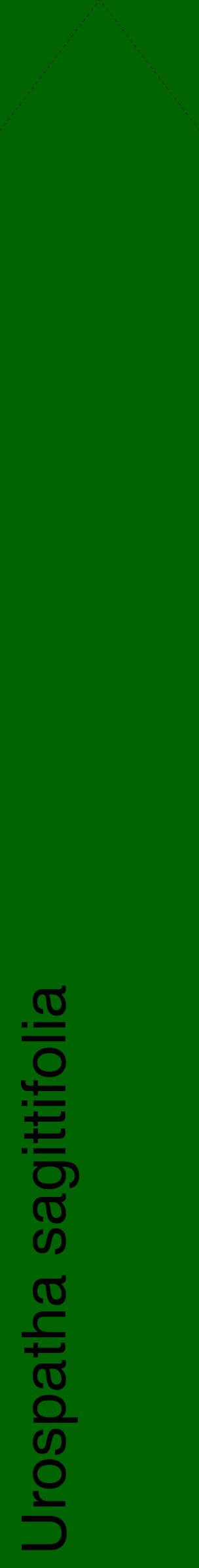 Étiquette de : Urospatha sagittifolia - format c - style noire8_simplehel avec comestibilité