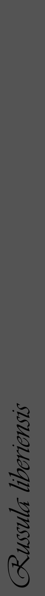 Étiquette de : Russula liberiensis - format a - style noire36viv avec comestibilité - position verticale
