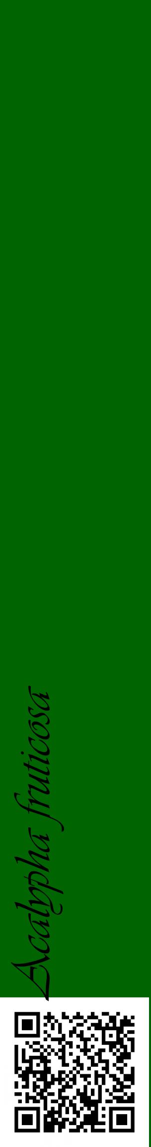 Étiquette de : Acalypha fruticosa - format c - style noire8_basiqueviv avec qrcode et comestibilité