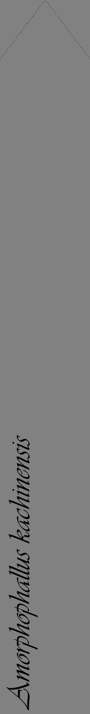 Étiquette de : Amorphophallus kachinensis - format c - style noire50_simple_simpleviv avec comestibilité - position verticale