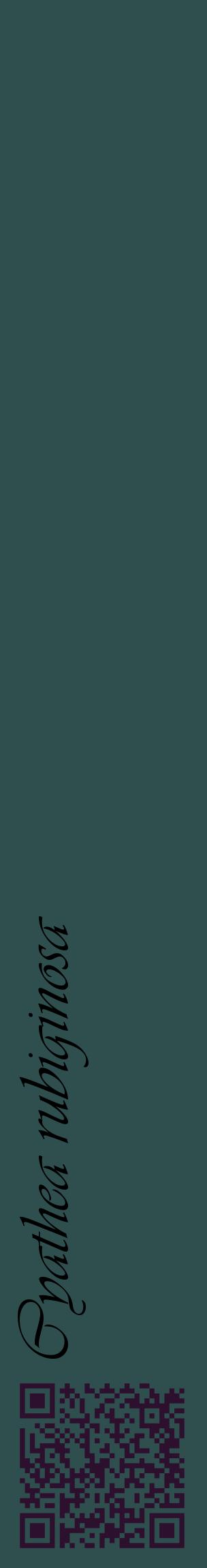 Étiquette de : Cyathea rubiginosa - format c - style noire58_basiqueviv avec qrcode et comestibilité