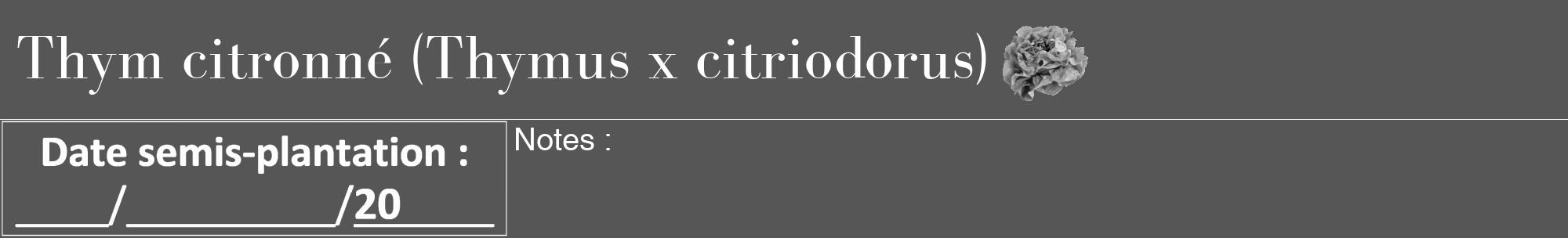 Étiquette de : Thymus x citriodorus - format a - style blanche45bod avec comestibilité simplifiée