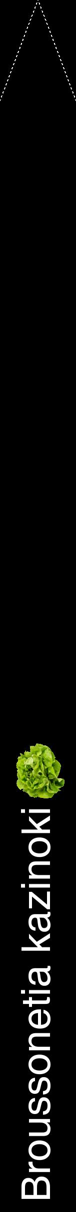 Étiquette de : Broussonetia kazinoki - format b - style blanche59hel avec comestibilité simplifiée
