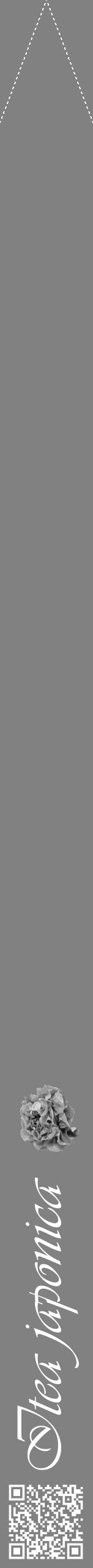 Étiquette de : Itea japonica - format b - style blanche50viv avec qrcode et comestibilité simplifiée - position verticale