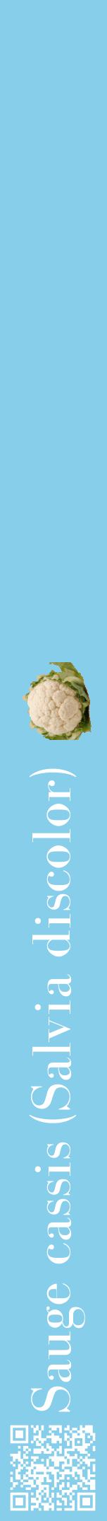 Étiquette de : Salvia discolor - format a - style blanche1bod avec qrcode et comestibilité simplifiée
