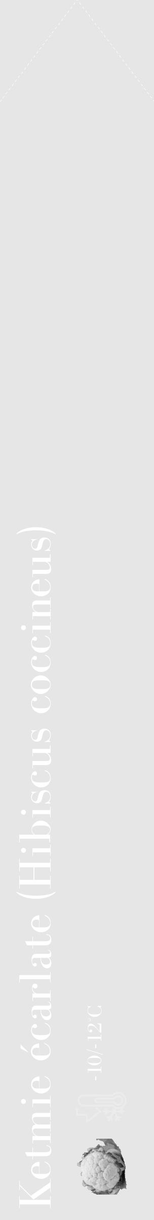 Étiquette de : Hibiscus coccineus - format c - style blanche18_simple_simplebod avec comestibilité simplifiée - position verticale