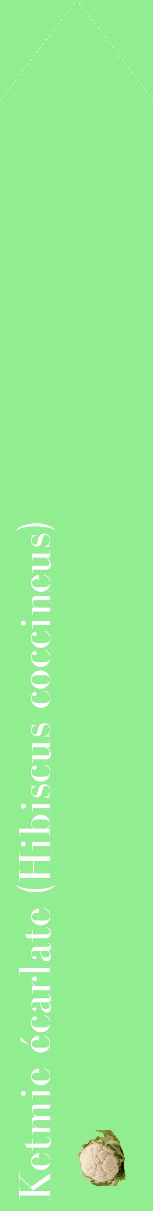 Étiquette de : Hibiscus coccineus - format c - style blanche15_simplebod avec comestibilité simplifiée
