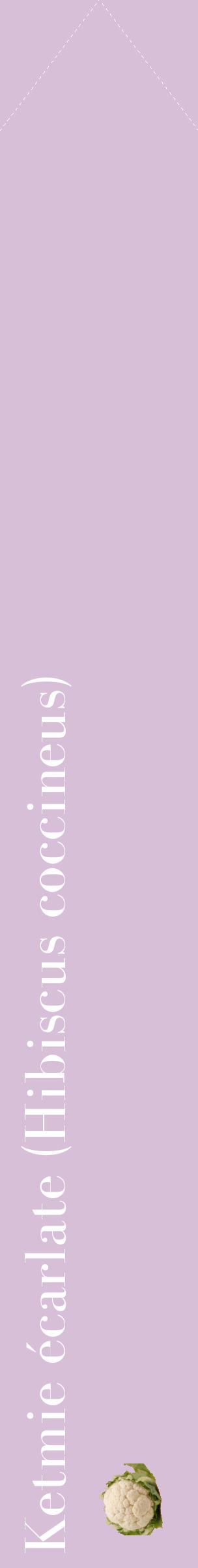 Étiquette de : Hibiscus coccineus - format c - style blanche54_simplebod avec comestibilité simplifiée