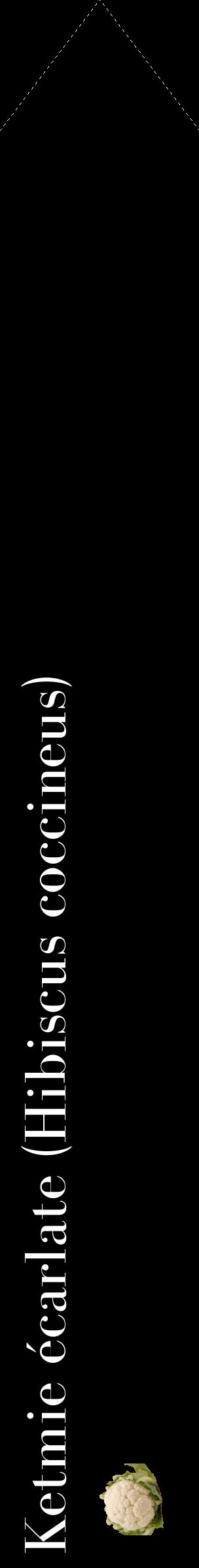 Étiquette de : Hibiscus coccineus - format c - style blanche59_simplebod avec comestibilité simplifiée