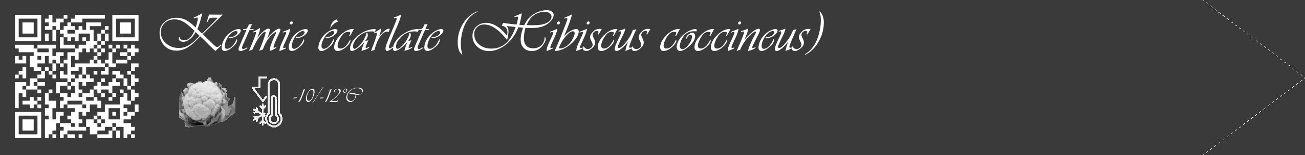 Étiquette de : Hibiscus coccineus - format c - style blanche8_simple_simpleviv avec qrcode et comestibilité simplifiée