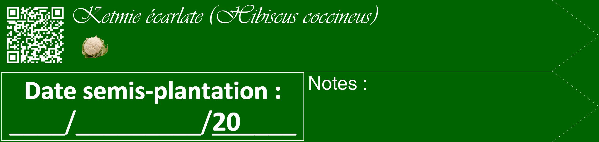Étiquette de : Hibiscus coccineus - format c - style blanche8_simple_simpleviv avec qrcode et comestibilité simplifiée