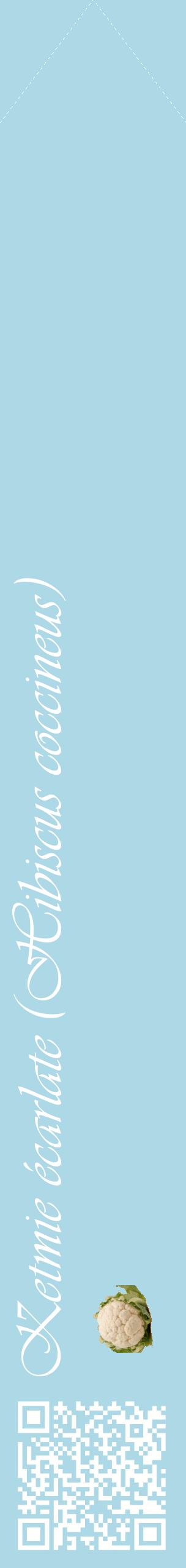 Étiquette de : Hibiscus coccineus - format c - style blanche0_simpleviv avec qrcode et comestibilité simplifiée