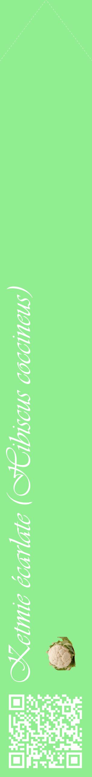 Étiquette de : Hibiscus coccineus - format c - style blanche15_simpleviv avec qrcode et comestibilité simplifiée