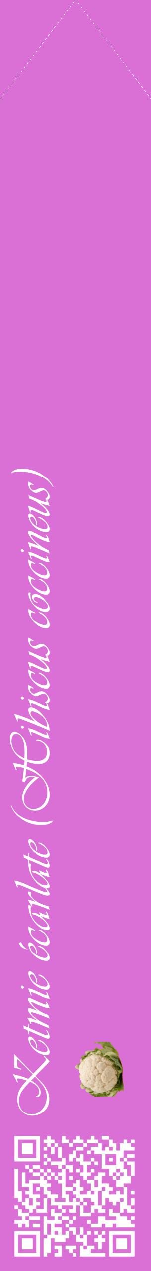 Étiquette de : Hibiscus coccineus - format c - style blanche52_simpleviv avec qrcode et comestibilité simplifiée