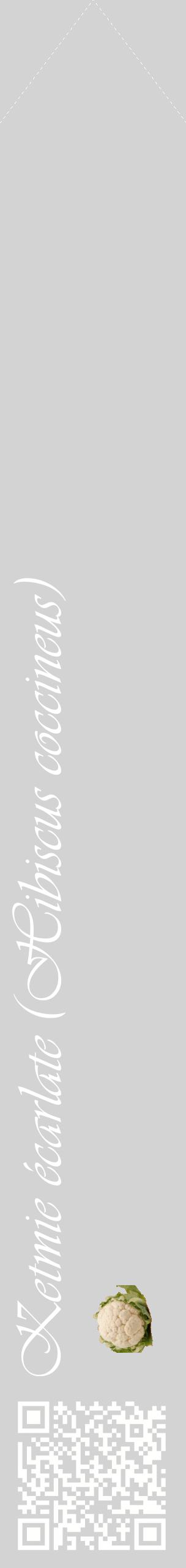 Étiquette de : Hibiscus coccineus - format c - style blanche56_simpleviv avec qrcode et comestibilité simplifiée