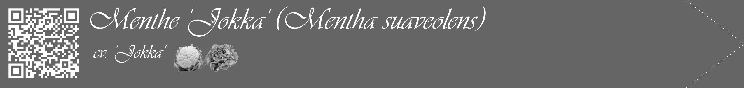 Étiquette de : Mentha suaveolens cv. 'Jokka' - format c - style blanche32_simple_simpleviv avec qrcode et comestibilité simplifiée