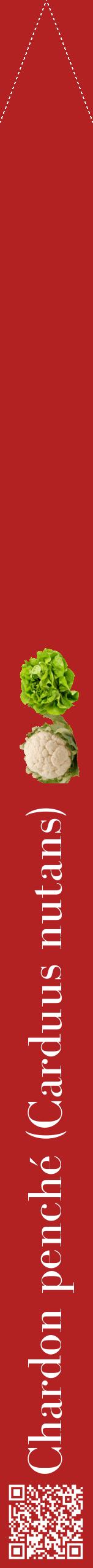 Étiquette de : Carduus nutans - format b - style blanche28bod avec qrcode et comestibilité simplifiée