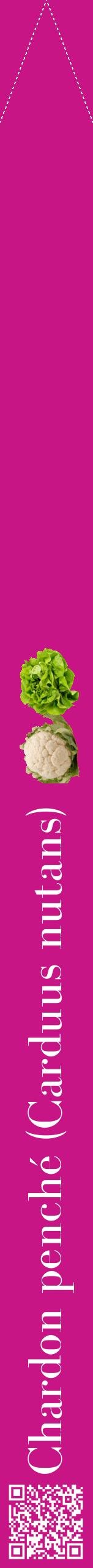 Étiquette de : Carduus nutans - format b - style blanche45bod avec qrcode et comestibilité simplifiée