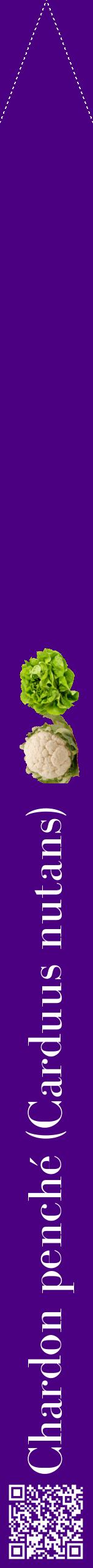 Étiquette de : Carduus nutans - format b - style blanche47bod avec qrcode et comestibilité simplifiée