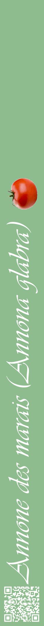 Étiquette de : Annona glabra - format a - style blanche13viv avec qrcode et comestibilité simplifiée