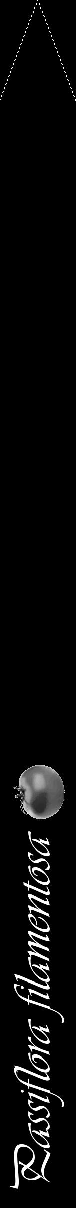 Étiquette de : Passiflora filamentosa - format b - style blanche59viv avec comestibilité simplifiée - position verticale