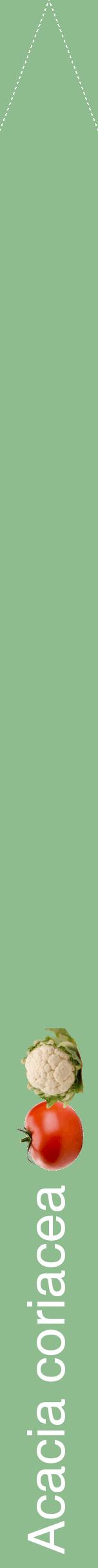 Étiquette de : Acacia coriacea - format b - style blanche13hel avec comestibilité simplifiée
