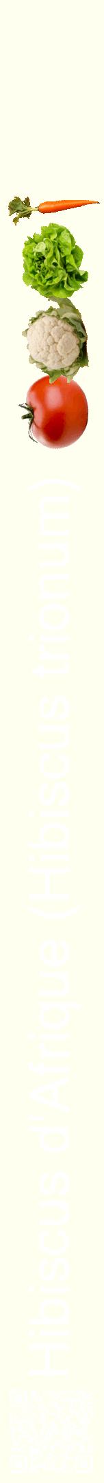 Étiquette de : Hibiscus trionum - format a - style blanche19hel avec qrcode et comestibilité simplifiée