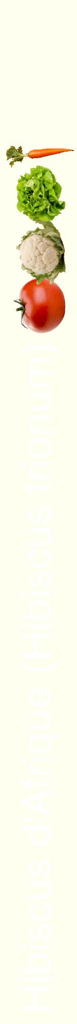 Étiquette de : Hibiscus trionum - format a - style blanche19hel avec comestibilité simplifiée