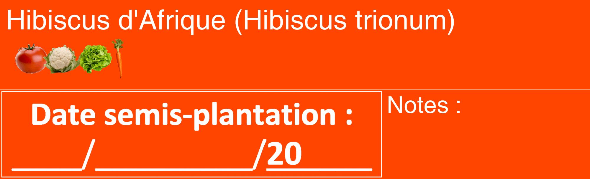 Étiquette de : Hibiscus trionum - format c - style blanche26_basique_basiquehel avec comestibilité simplifiée