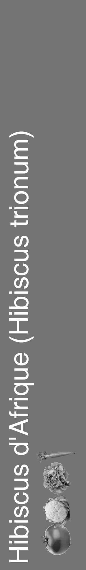 Étiquette de : Hibiscus trionum - format c - style blanche26_basique_basiquehel avec comestibilité simplifiée - position verticale