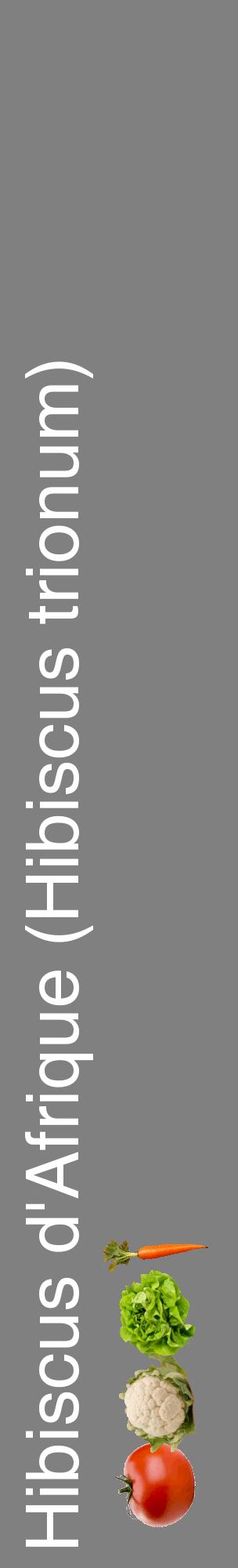 Étiquette de : Hibiscus trionum - format c - style blanche57_basiquehel avec comestibilité simplifiée
