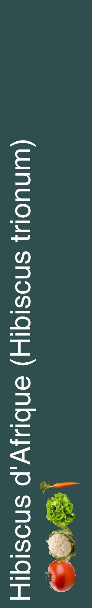 Étiquette de : Hibiscus trionum - format c - style blanche58_basiquehel avec comestibilité simplifiée